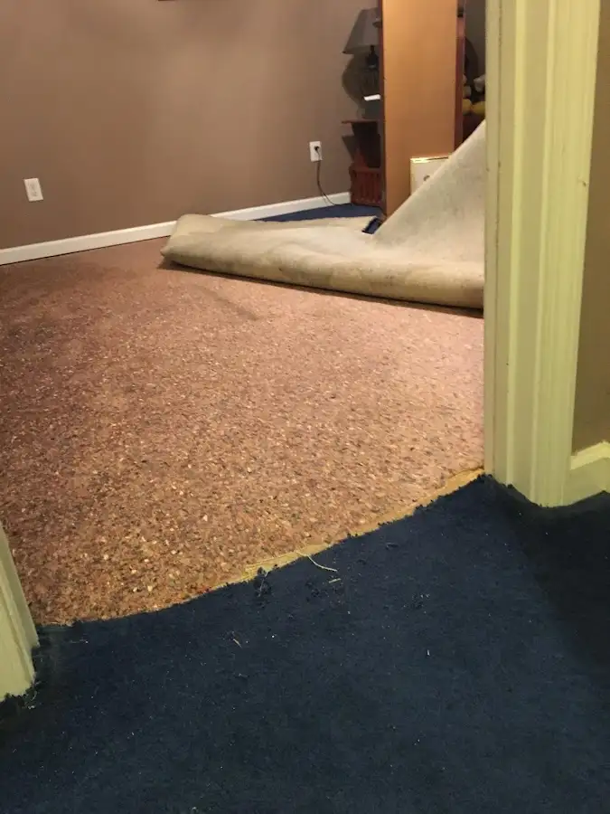 Carpet pad removal revealing water damage during Drying & Dehumidification in Mililani Mauka