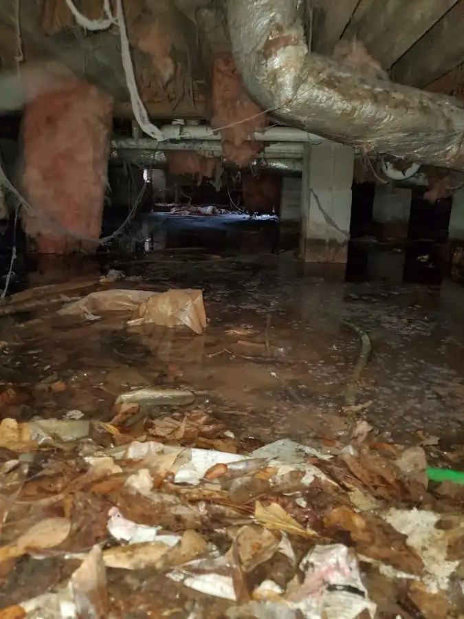 Crawl space flood assessment for Leak Detection & Repair in Mililani Mauka