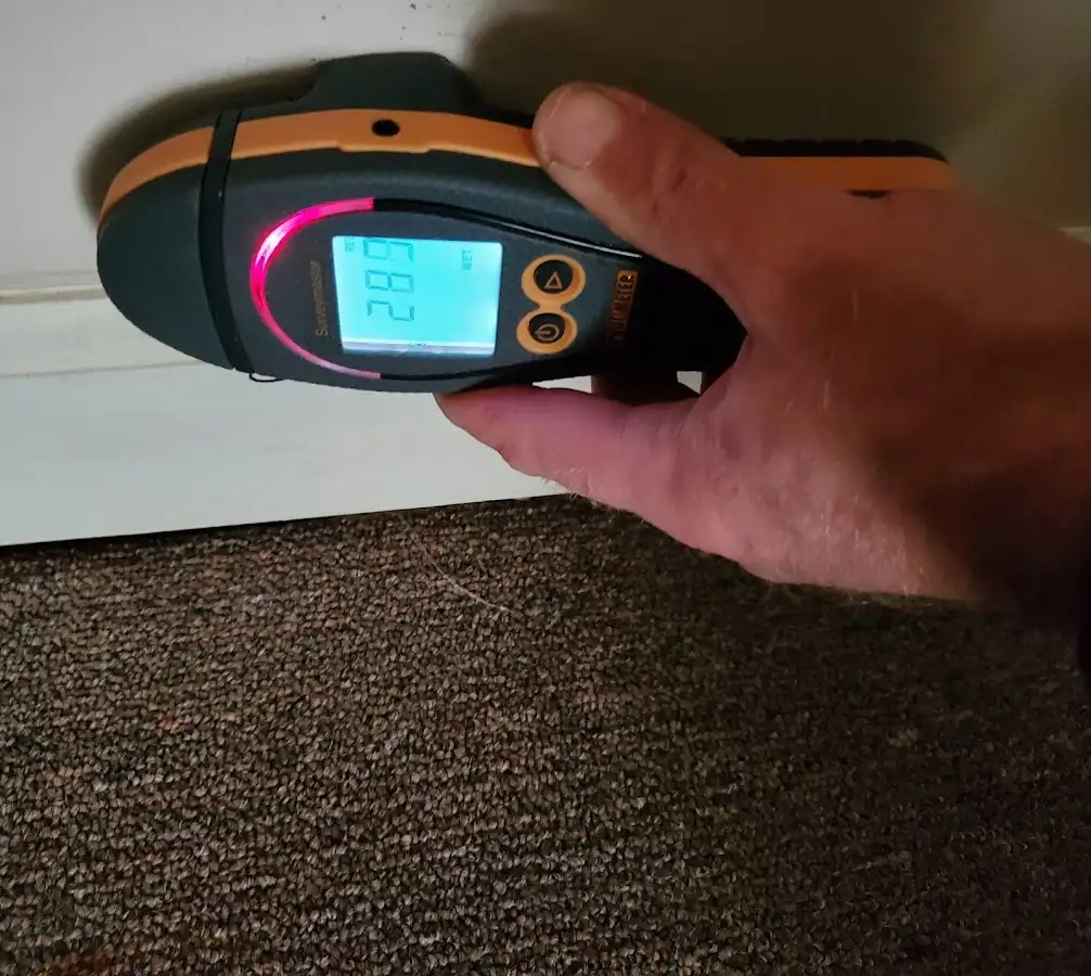 Moisture detection at baseboard during Sewage Cleanup & Sanitation in Mililani Mauka
